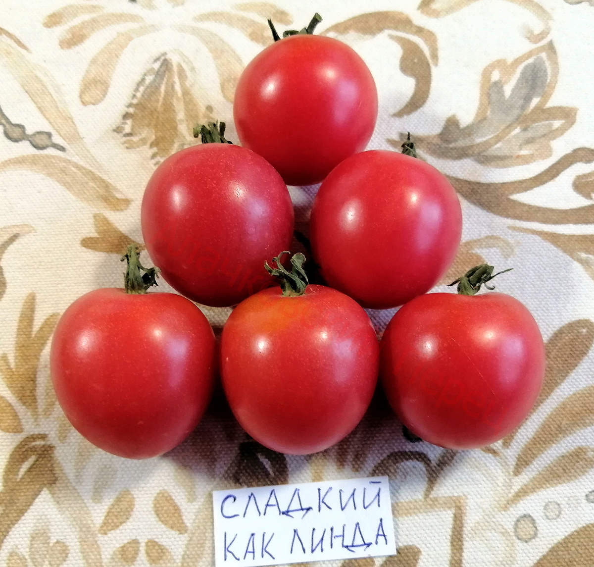 Сладкий как Линда