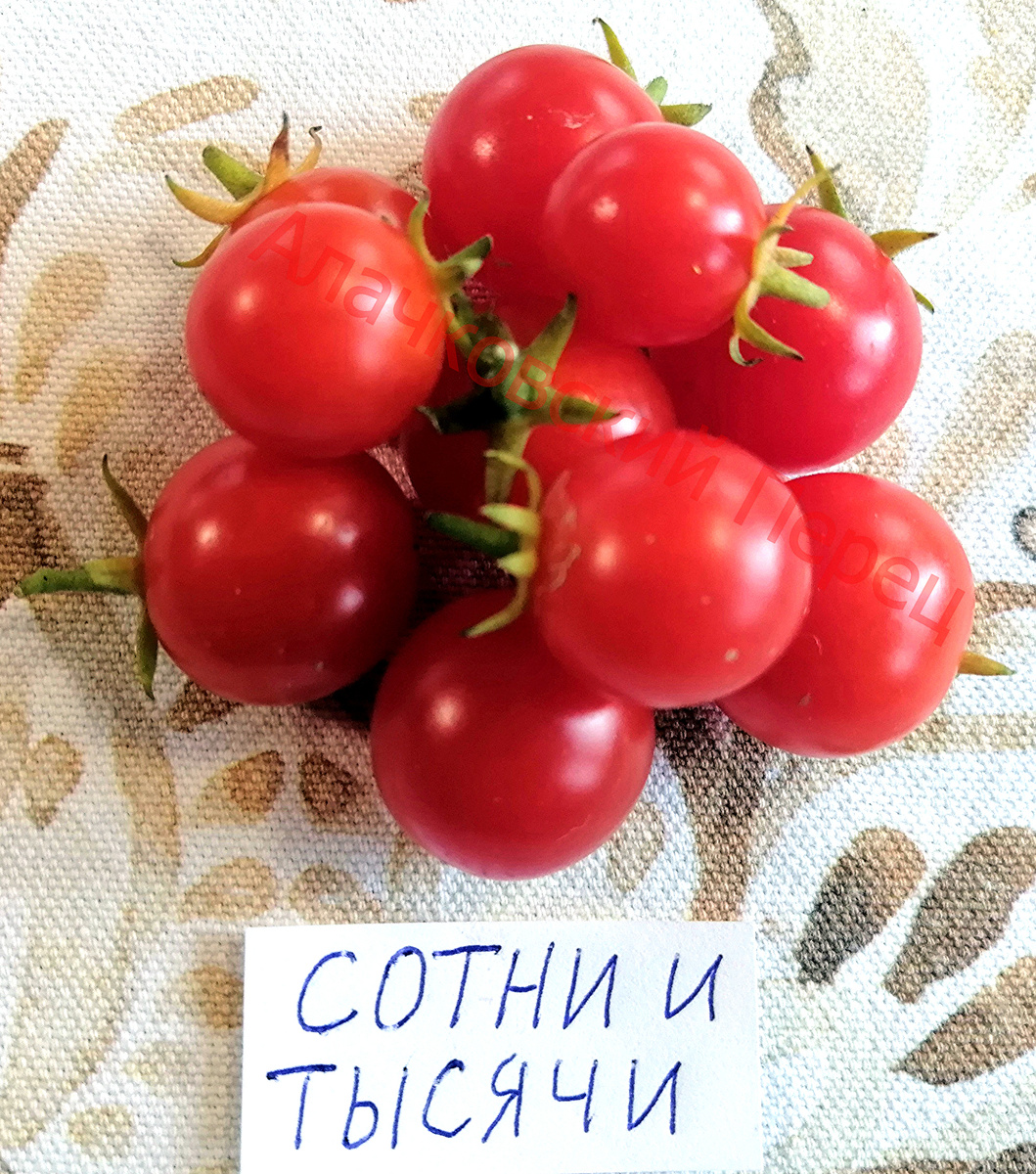 Сотни и тысячи