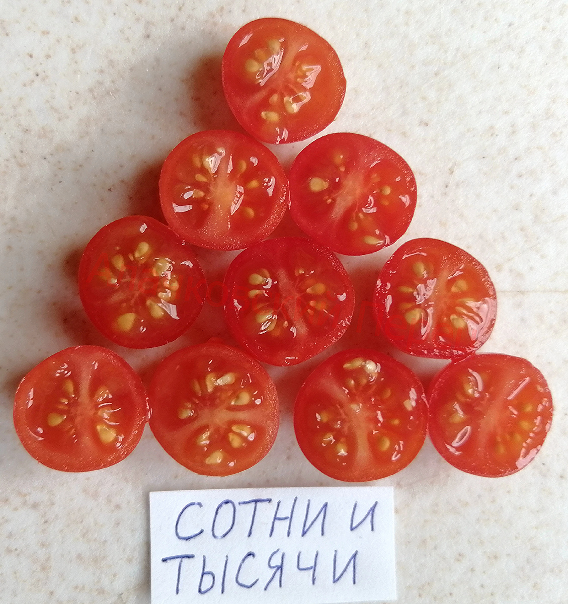 Сотни и тысячи