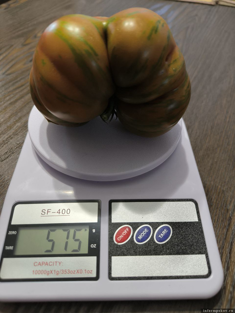 Фото: Юрий Семёнов