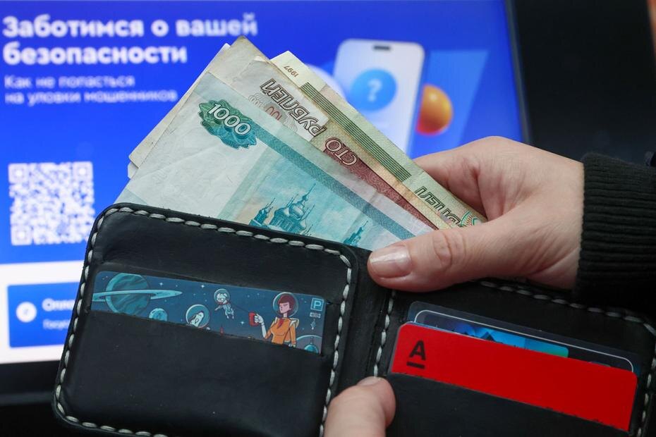    Наталья Шатохина/NEWS.ru