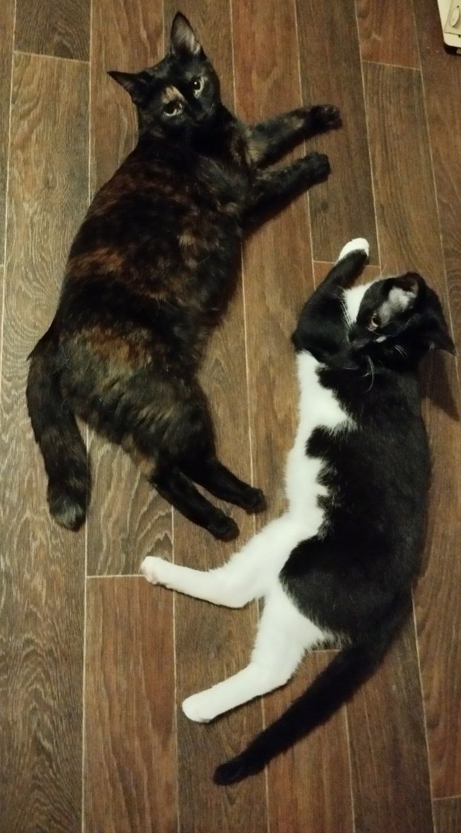 Редкий кадр, когда вот так застать можно, всё больше в движухе