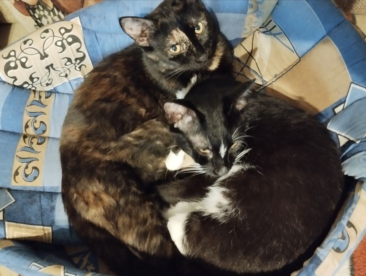 Ну мелкий он, мелкий, что с него взять!