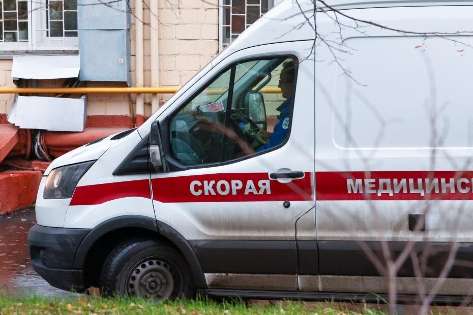    Наталья Шатохина/NEWS.ru