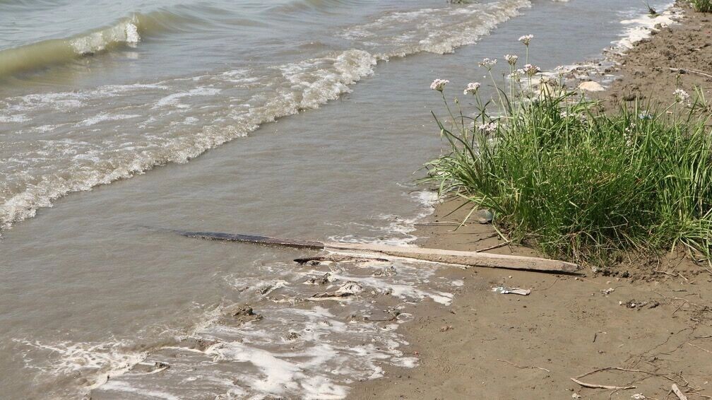     Источник: 1MI