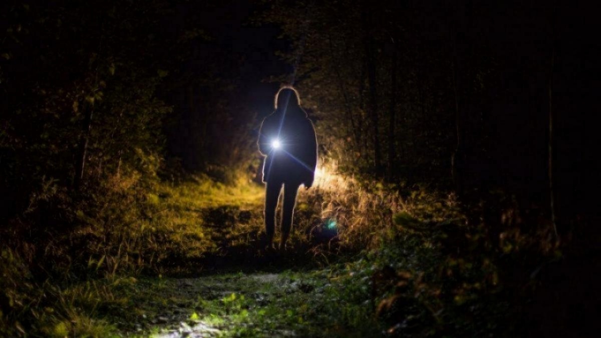    В Саратовской области разыскивают 370 пропавших без вестиНовости Саратова и области – Сетевое издание «Репортер64»