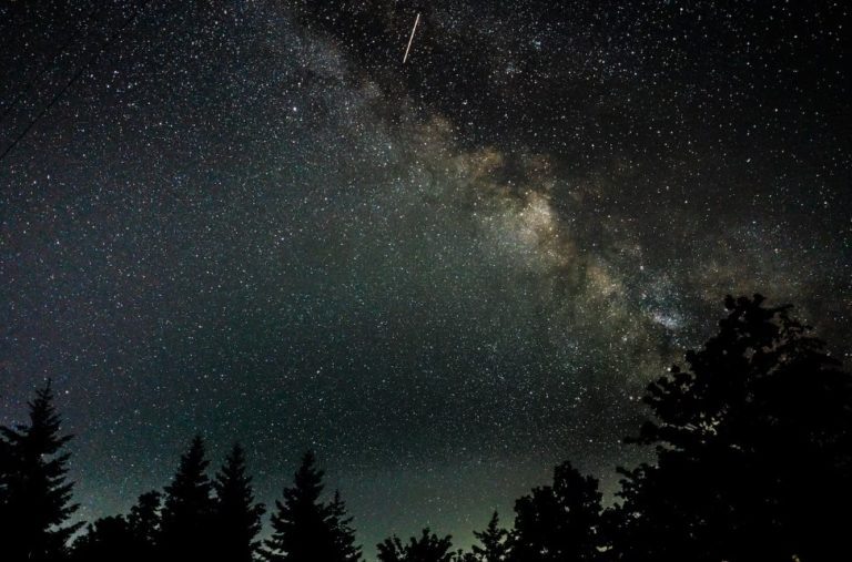    Фото: freepik.com Екатерина Шахнина