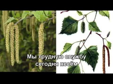 Вдали от России, вдали от России