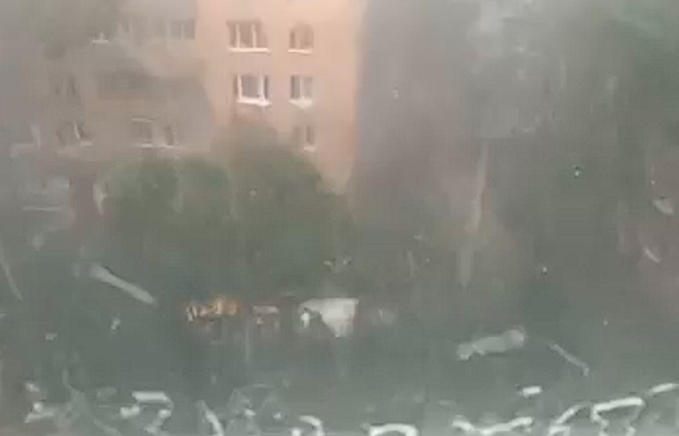    Кадр видео группы "Подслушано Реутов" в ВК