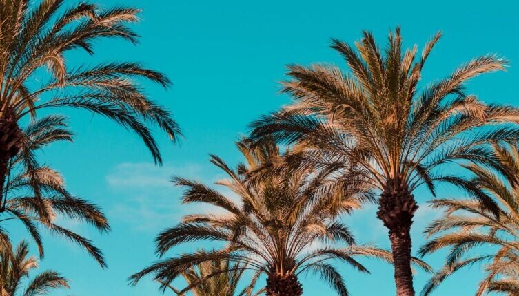     Фото: Henry Be on Unsplash