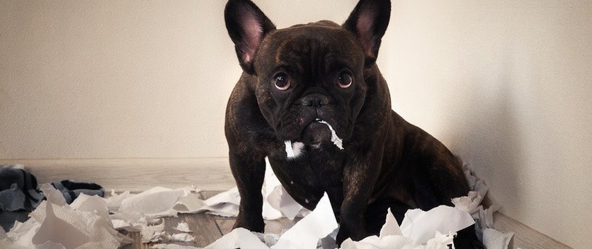 Но давайте по порядку.
