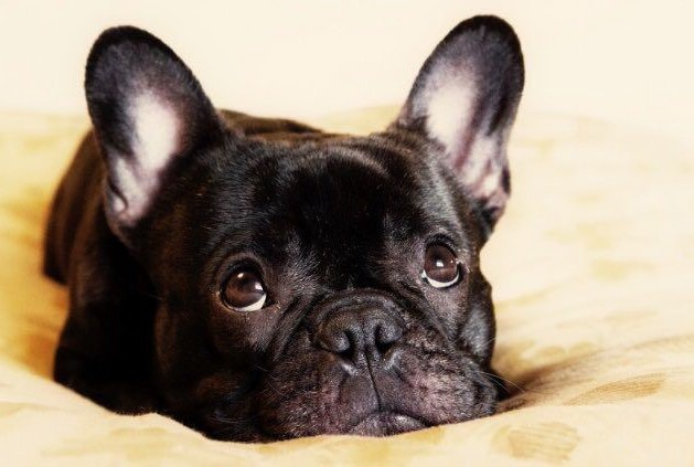 Если бы я знал тогда, что этот «ребёнок» вскоре сожрёт кухню за 900 тысяч, я бы плакал вместе с ней, но от совсем других эмоций.
