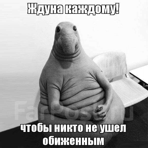 С просторов интернета