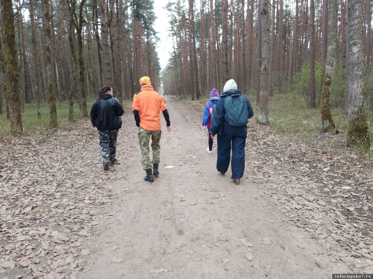 Фото из группы псковского поискового отряда «ЛизаАлерт» в соцсети «ВКонтакте»