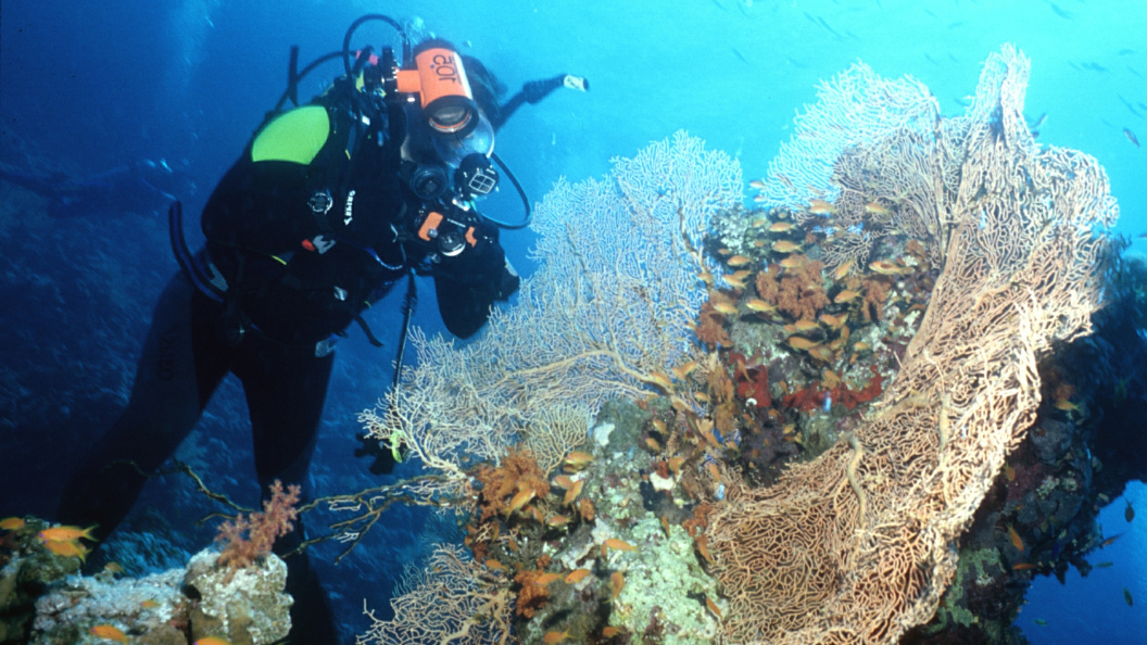    Roman Denisov/Globallookpress