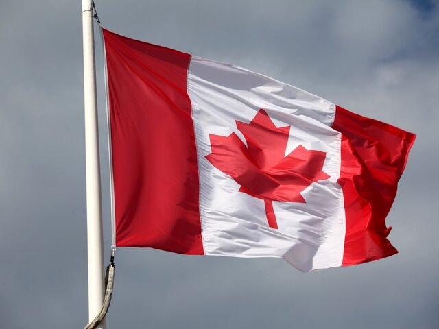    Фото: 123RF/stefanphoto