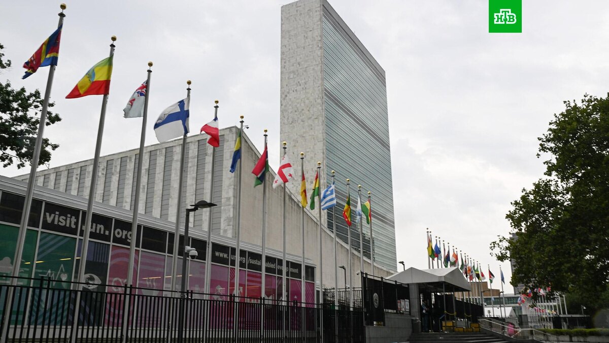    Фото: РИА Новости © 2025, Сергей Гунеев