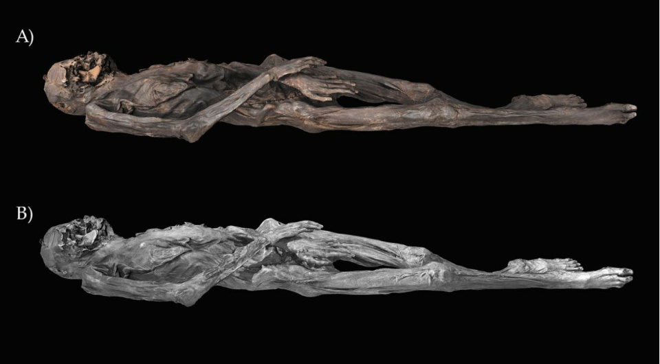   Mikhail Vavulin; Gino Gaspari et al. / Antiquity, 2025