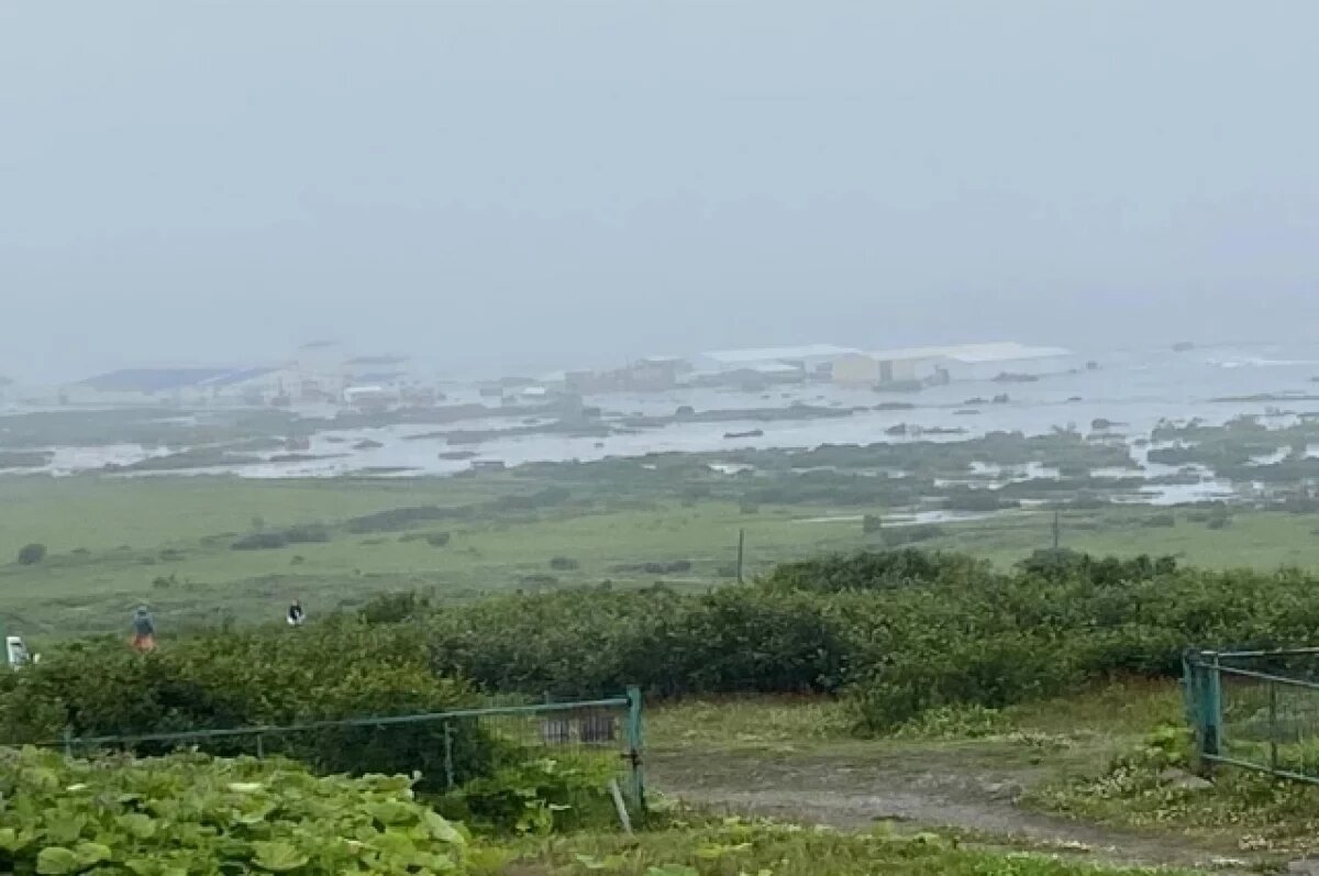    В Северо-Курильске волна цунами вынесла в открытое море 15 судов