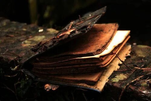 Изображение взято из открытых источников интернета. 