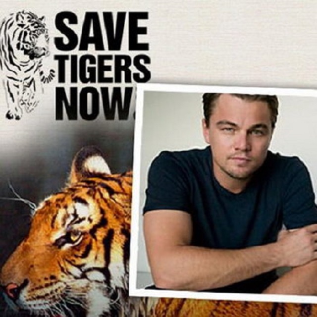 Ди и Ти. фото в свободном доступе из интернета