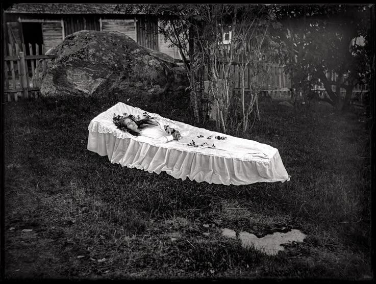 Изображение взято из открытых источников интернета. 