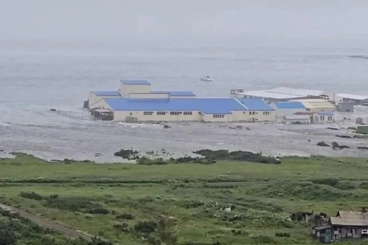    Ученый объяснил отсутствие жертв и разрушений при землетрясении на Камчатке