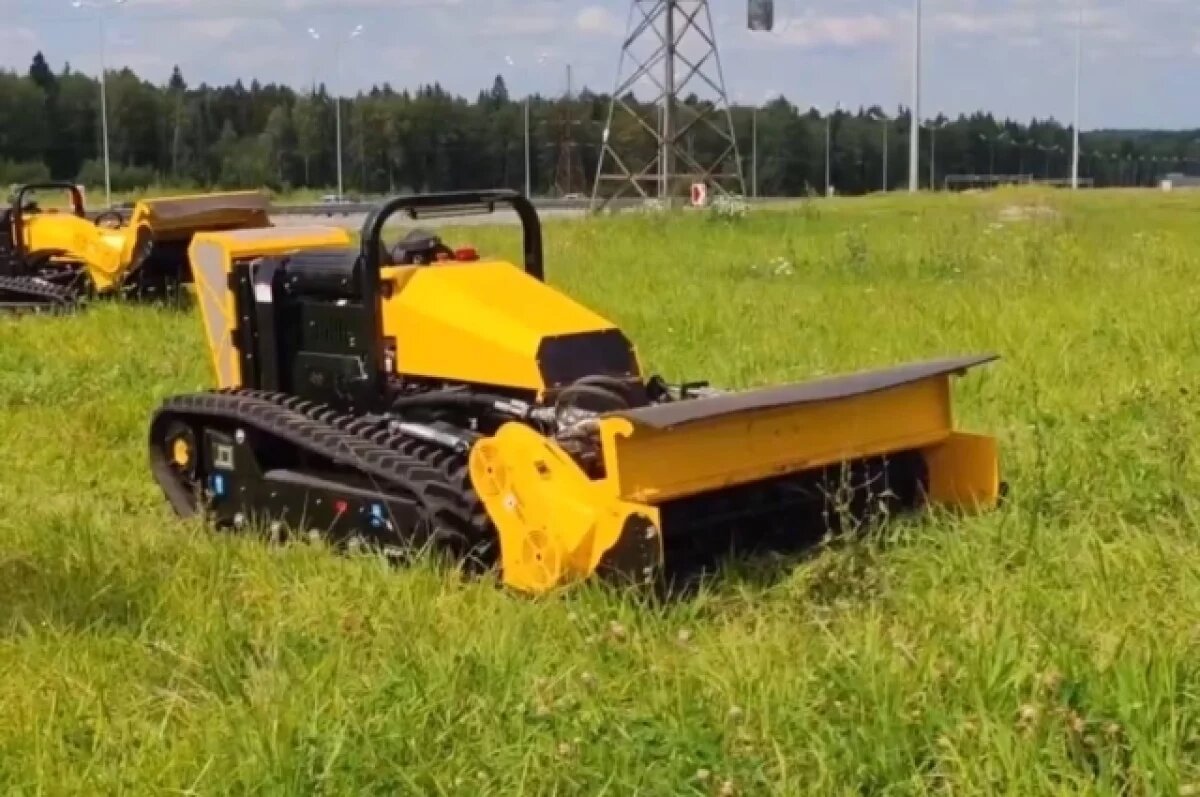    Уничтожать борщевик в Прикамье будет техника с дистанционным управлением