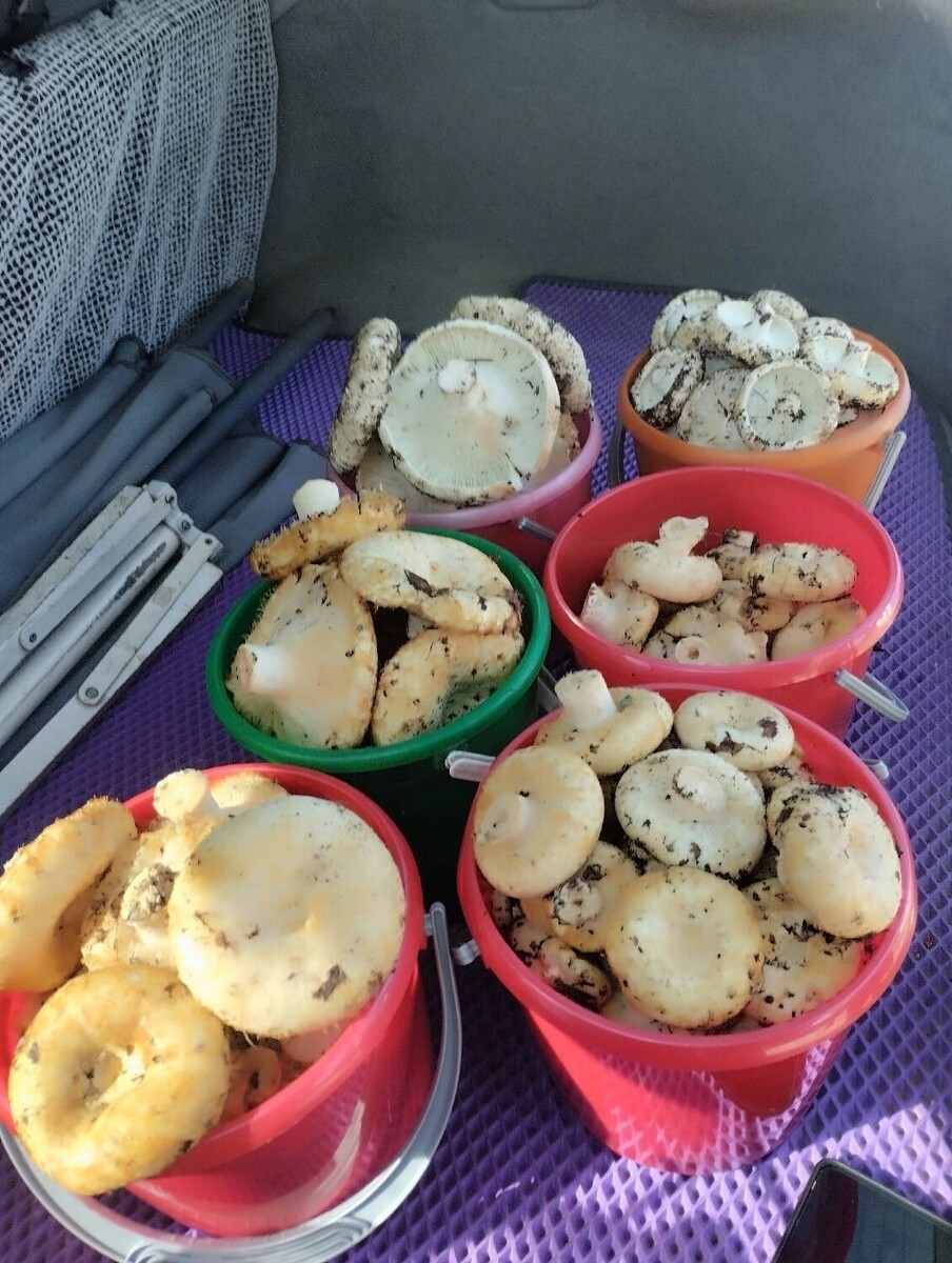     Источник: страница Константина Зеленцова в ВК