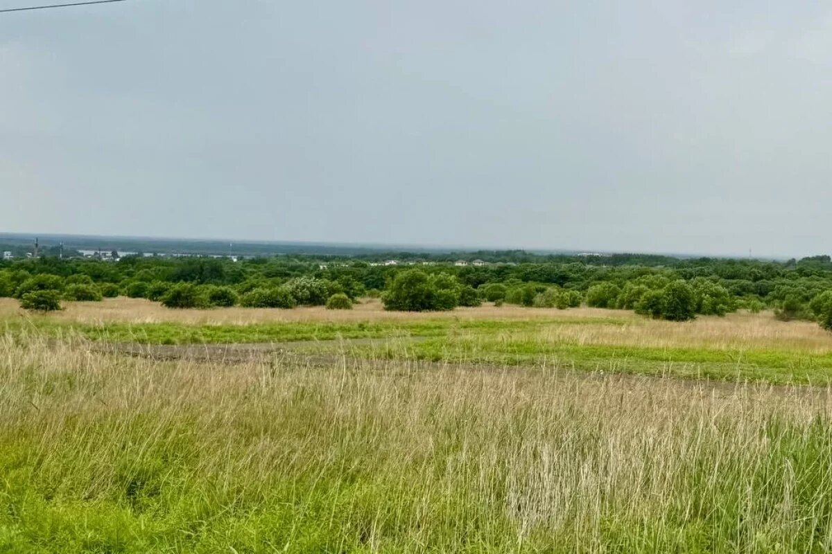    Хабаровскому району через суд вернули 2,3 га муниципальной земли