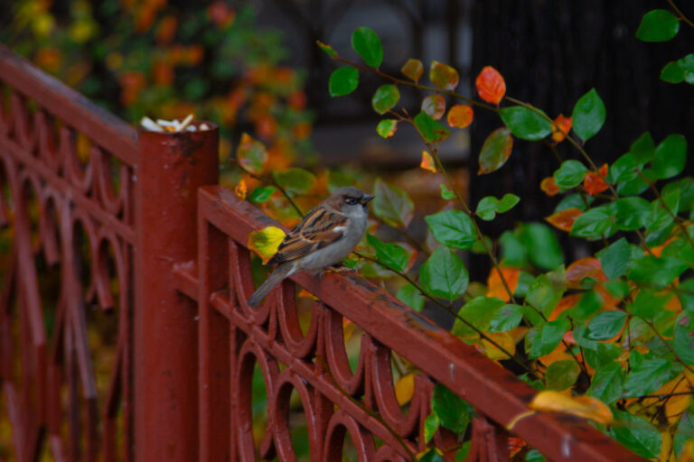    Фото: Общественная Служба Новостей Екатерина Шахнина