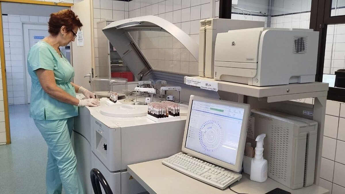    Фото: телеканал «Краснодар»