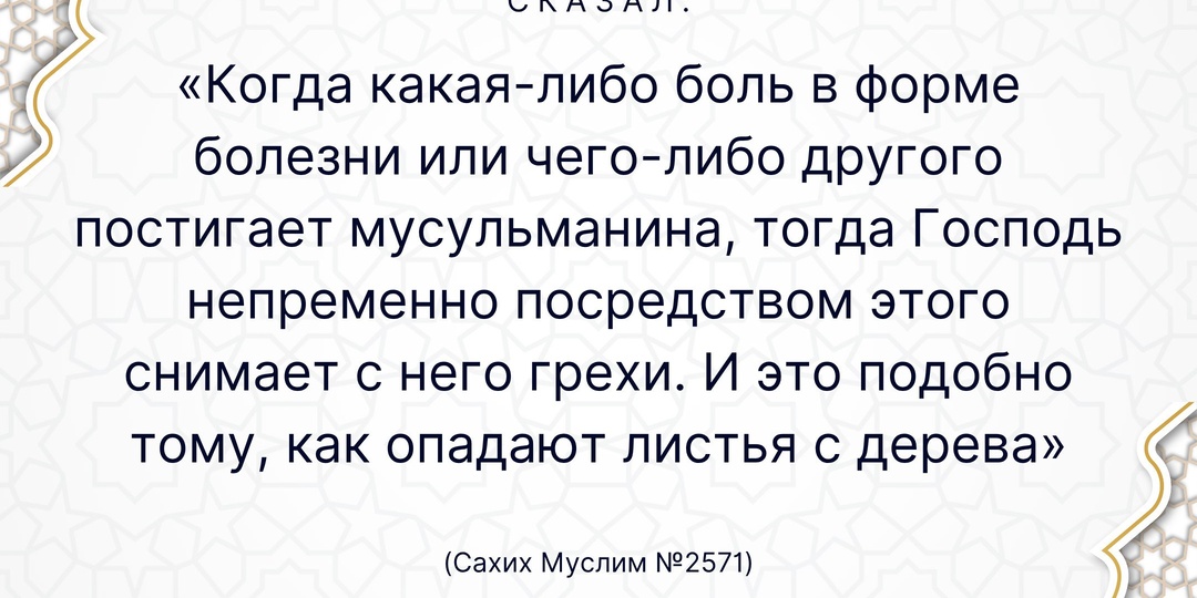 Пророк Мухаммад ﷺ сказал