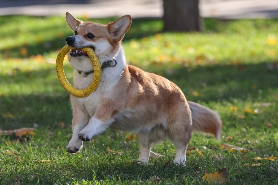    Алексей Белкин/NEWS.ru