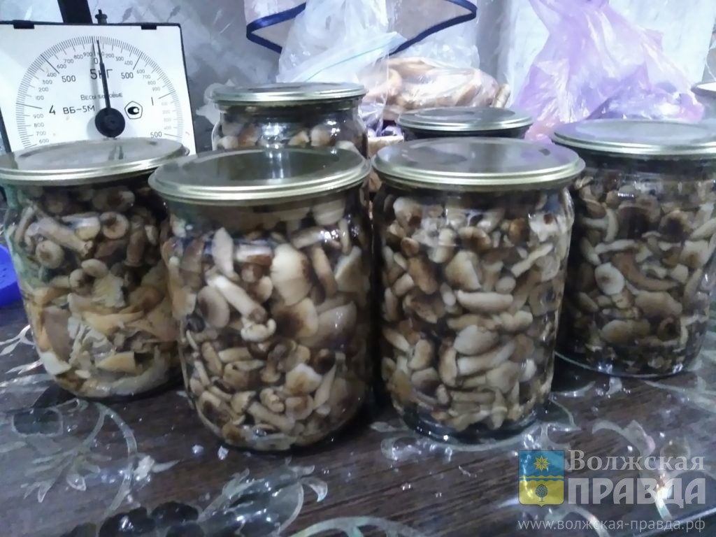     Омельян пришёл, грибов нашёл: традиции 31 июля
