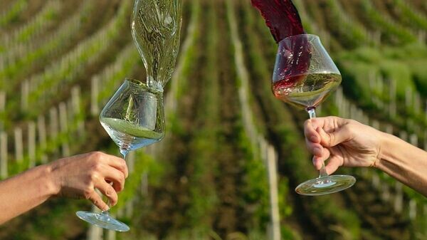    © Telegram Михаил Развожаев