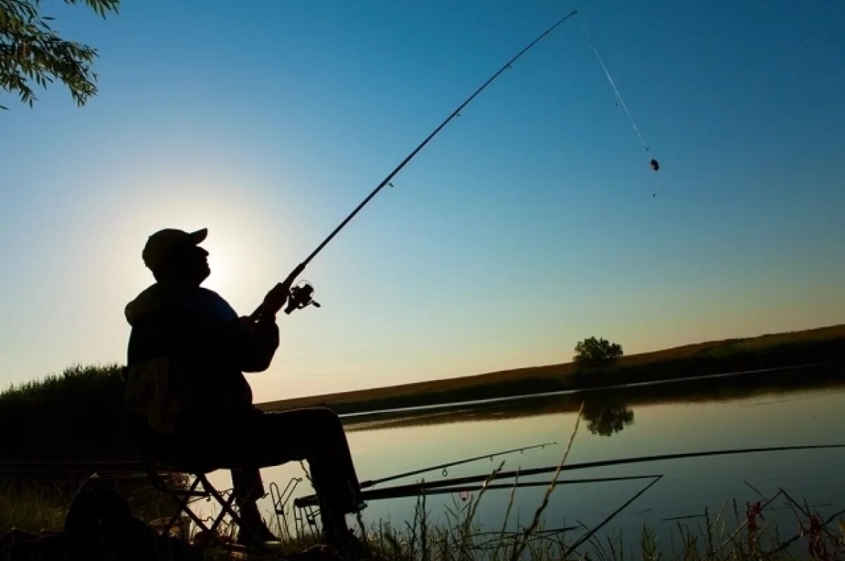    На Камчатке задержан рецидивист за незаконный улов чавычи