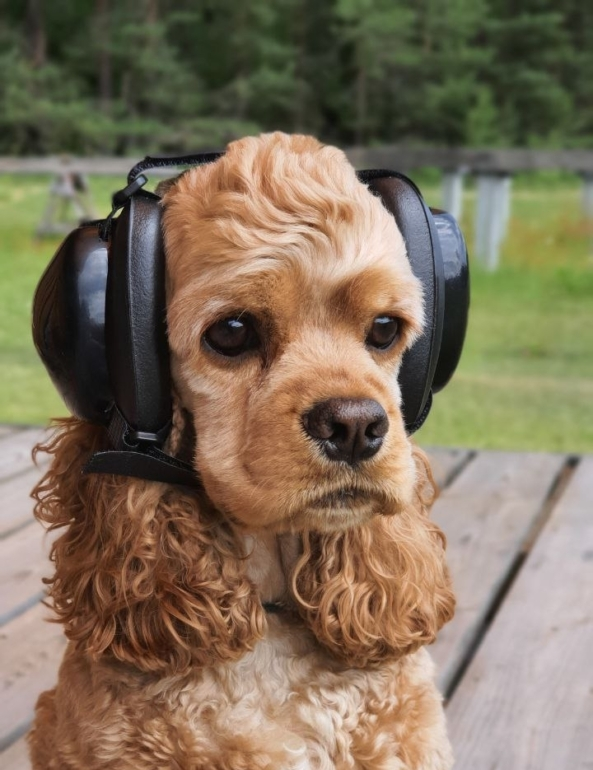 Фото: телеграм-канал KD aero