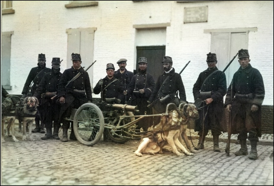 Бельгийская армия перед Первой Мировой войной