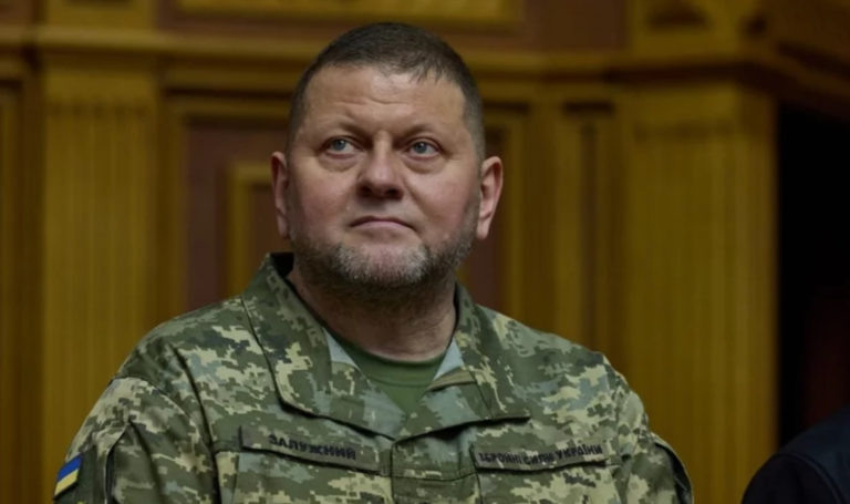    Фото: Официальный сайт президента Украины Анфиса Слепцова