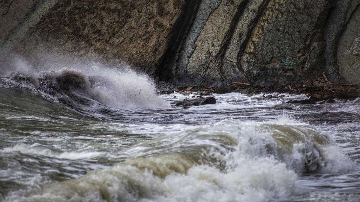    Фото: телеканал «Краснодар»