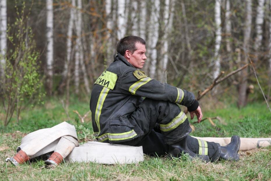    Сергей Петров/NEWS.ru