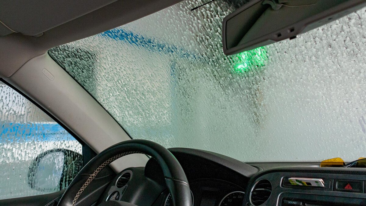    Фото: Svetlana Vozmilova/Global Look Press