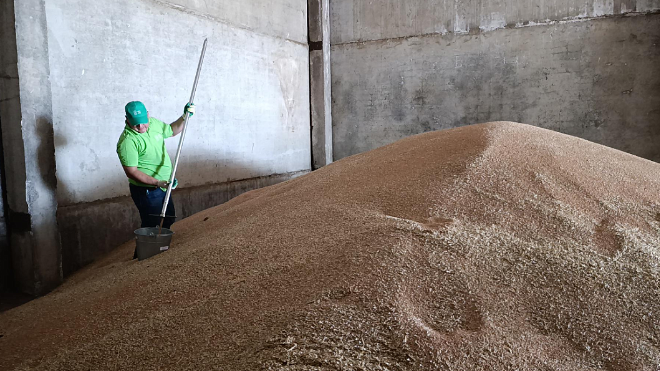 Фото: ФГБУ «ЦОК АПК»