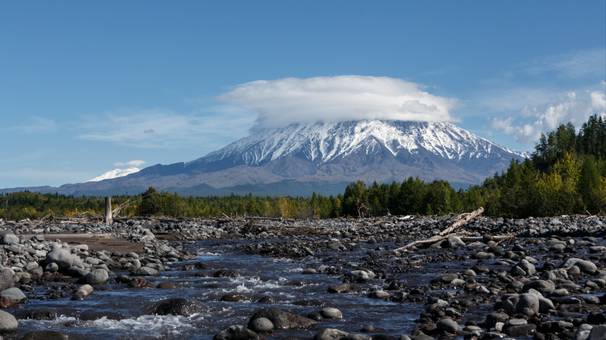    Фото: © РИА Новости/Александр Пирагис
