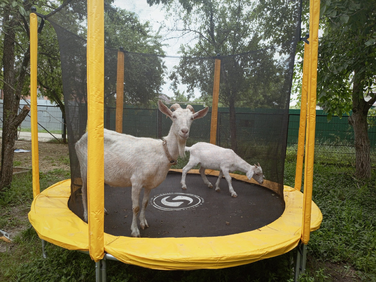 Яна и ее дочка Милка