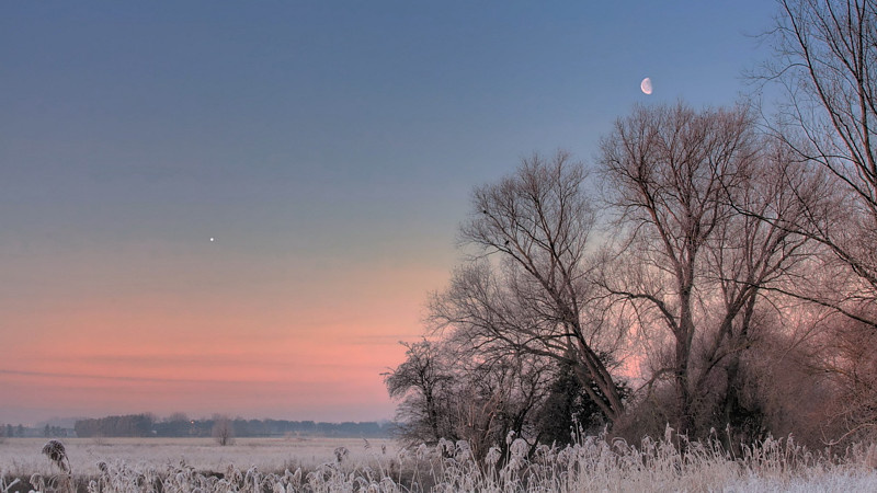 Венеру называют Утренней звездой, так как она часто видна на утреннем небе перед восходом Солнца