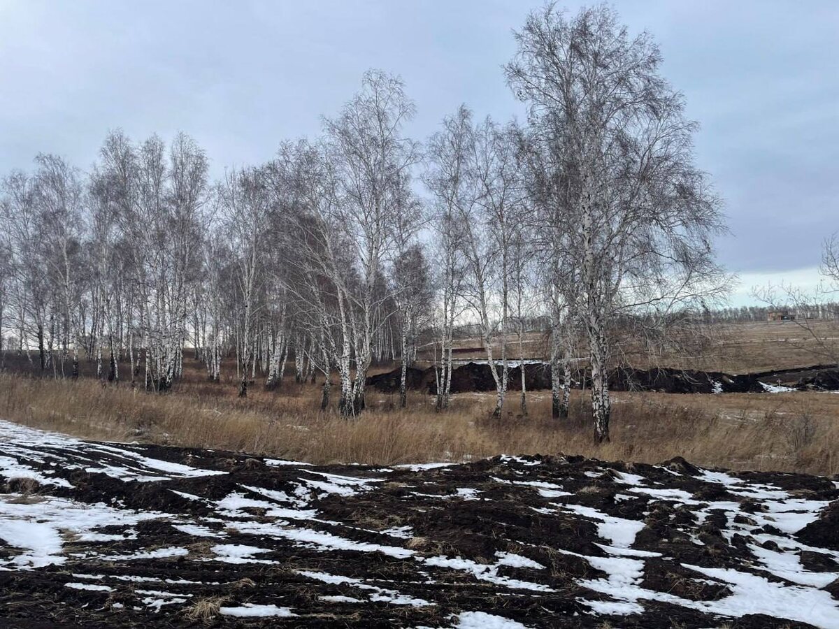     Экс-главу Солонцовского сельсовета отправили в колонию на 6 лет