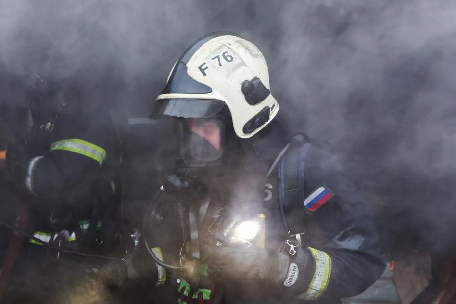    Алексей Белкин/NEWS.ru