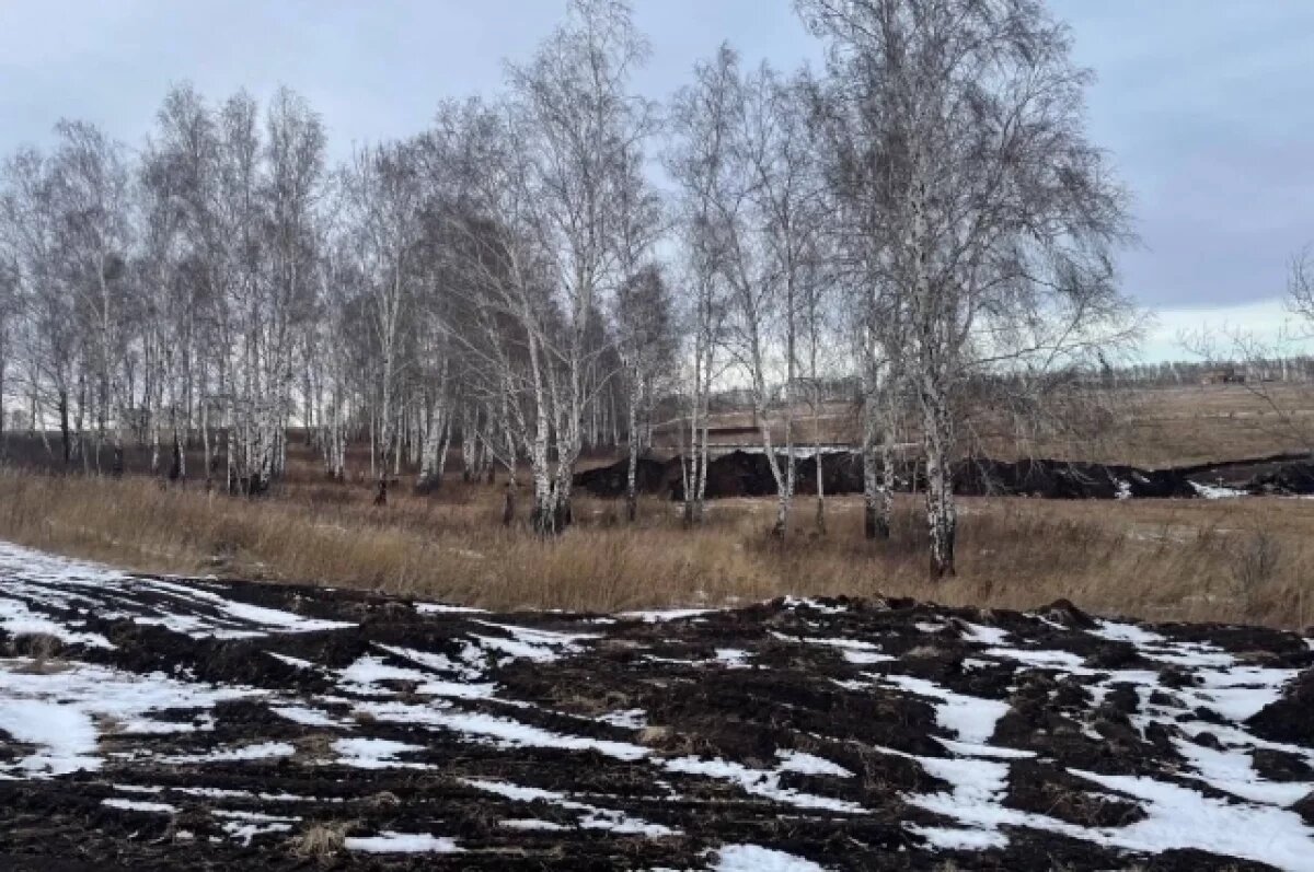    Экс-главу сельсовета отправили в колонию за махинации на 500 млн рублей